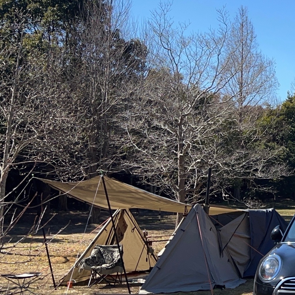 FIELDOOR パップテント 難燃 TC ポリコットン 一人用 ソロ