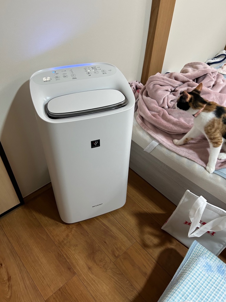 SHARP プラズマクラスター2500 除加湿空気清浄機 KI-RD50-W