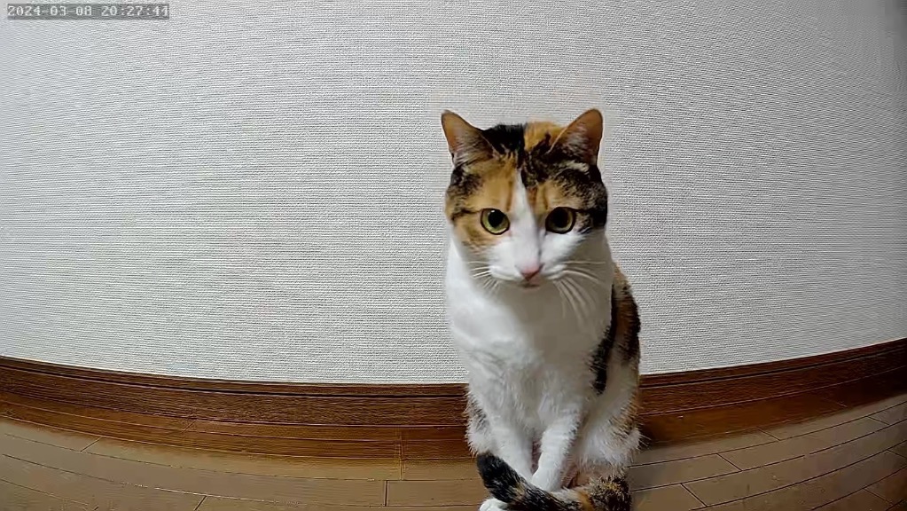 7件目のレビュー画像 | 0