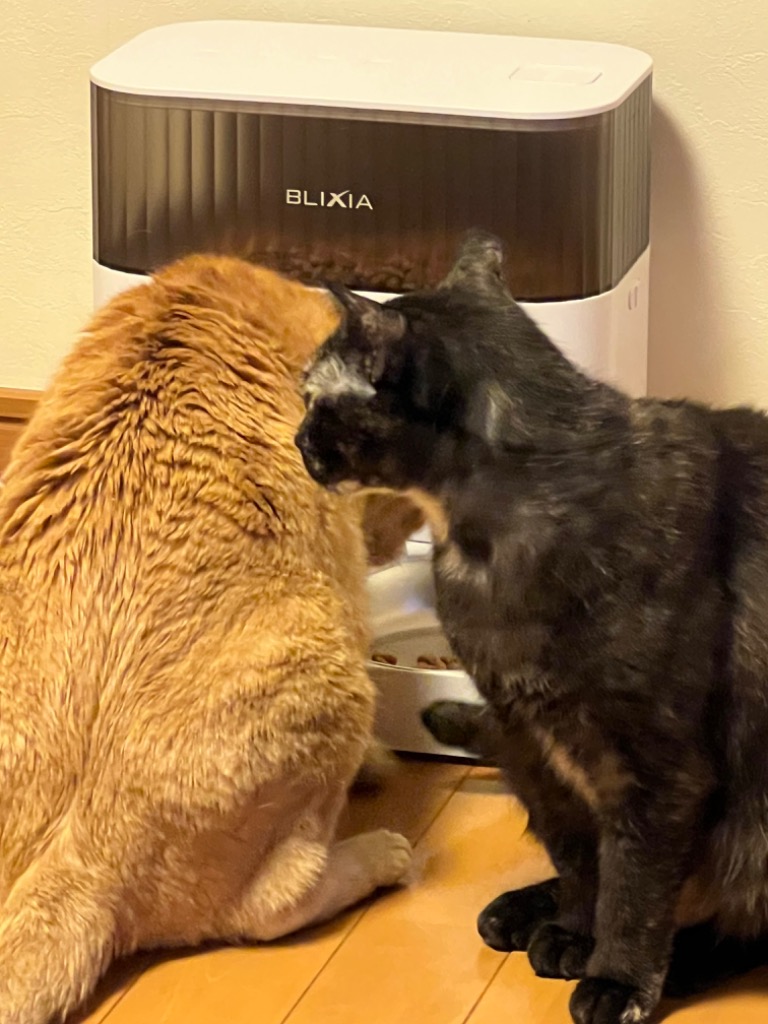 全体のレビュー画像 | 1-0