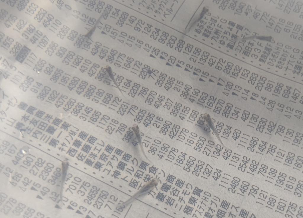 全体のレビュー画像 | 2-0