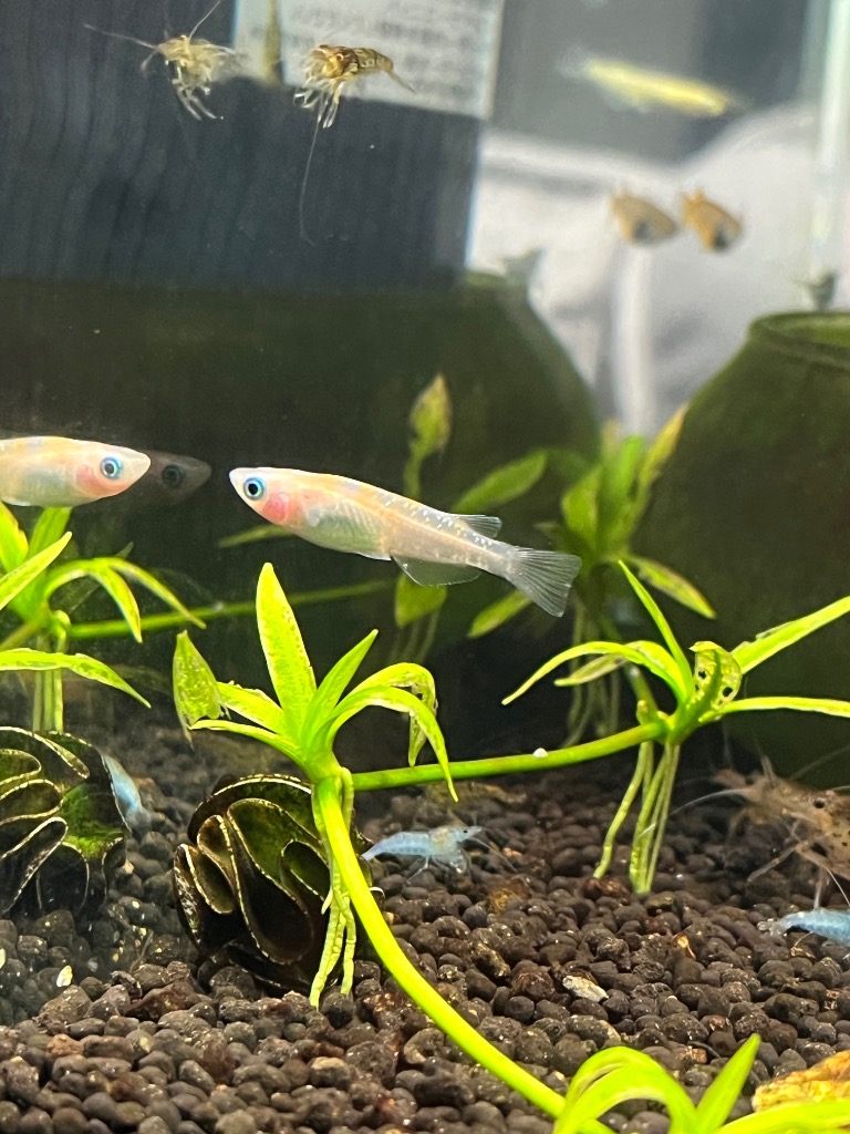 7件目のレビュー画像 | 2