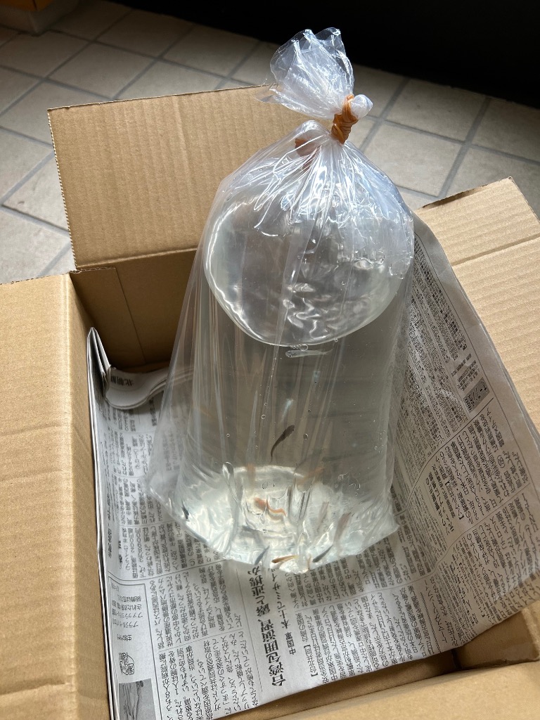 全体のレビュー画像 | 5-1