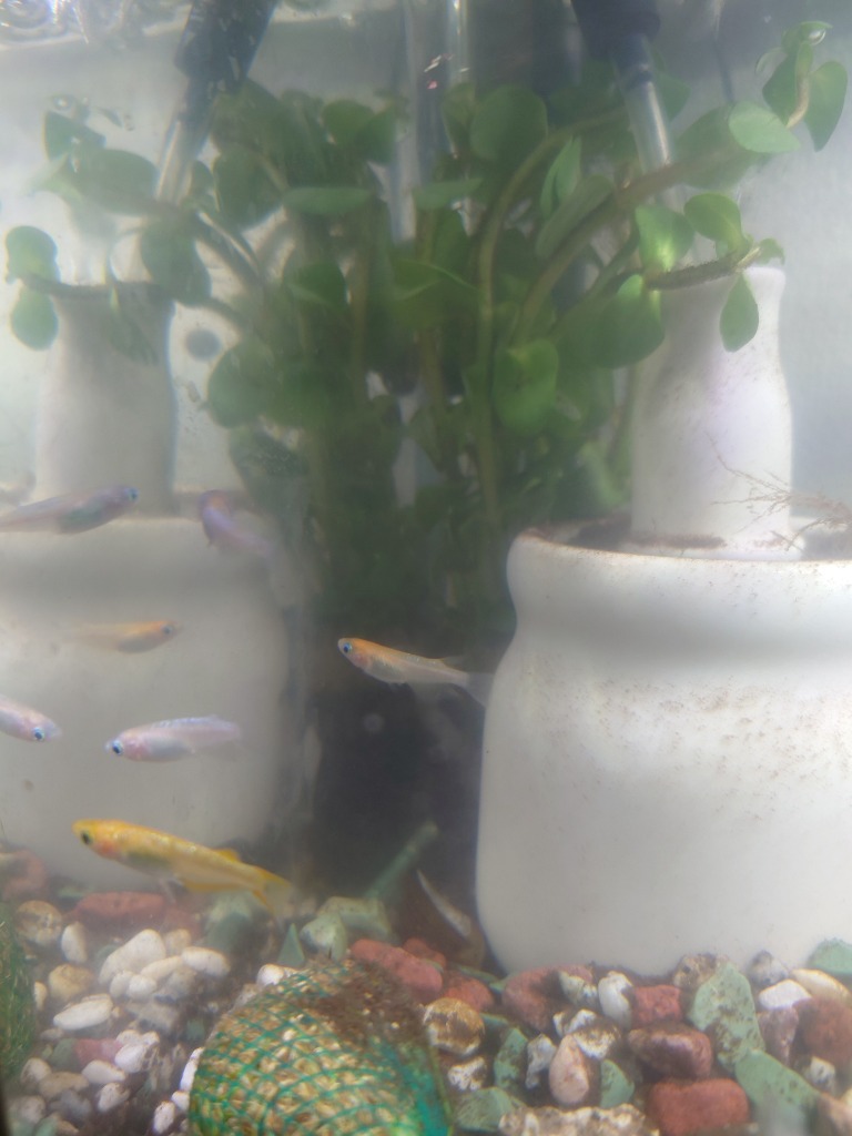 全体のレビュー画像 | 8-1