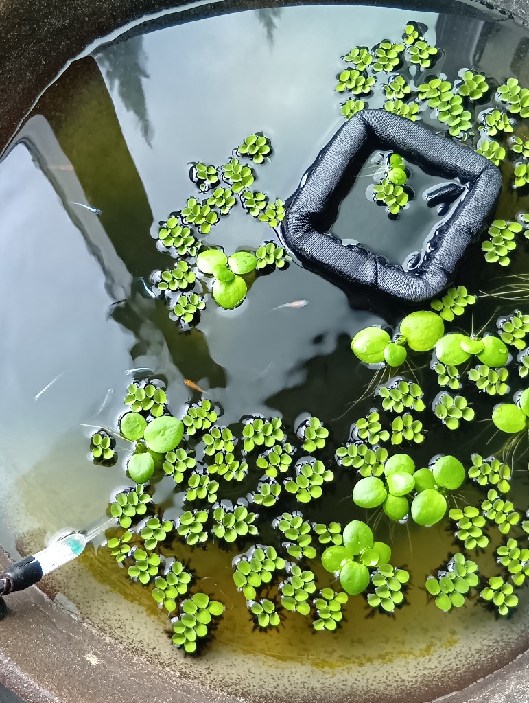 全体のレビュー画像 | 1-3