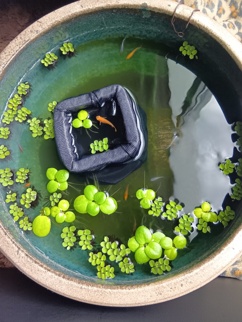 全体のレビュー画像 | 1-2