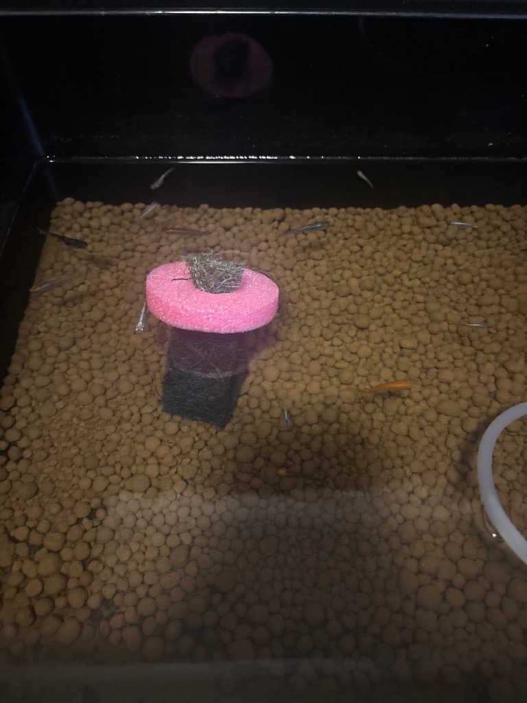 全体のレビュー画像 | 3-1