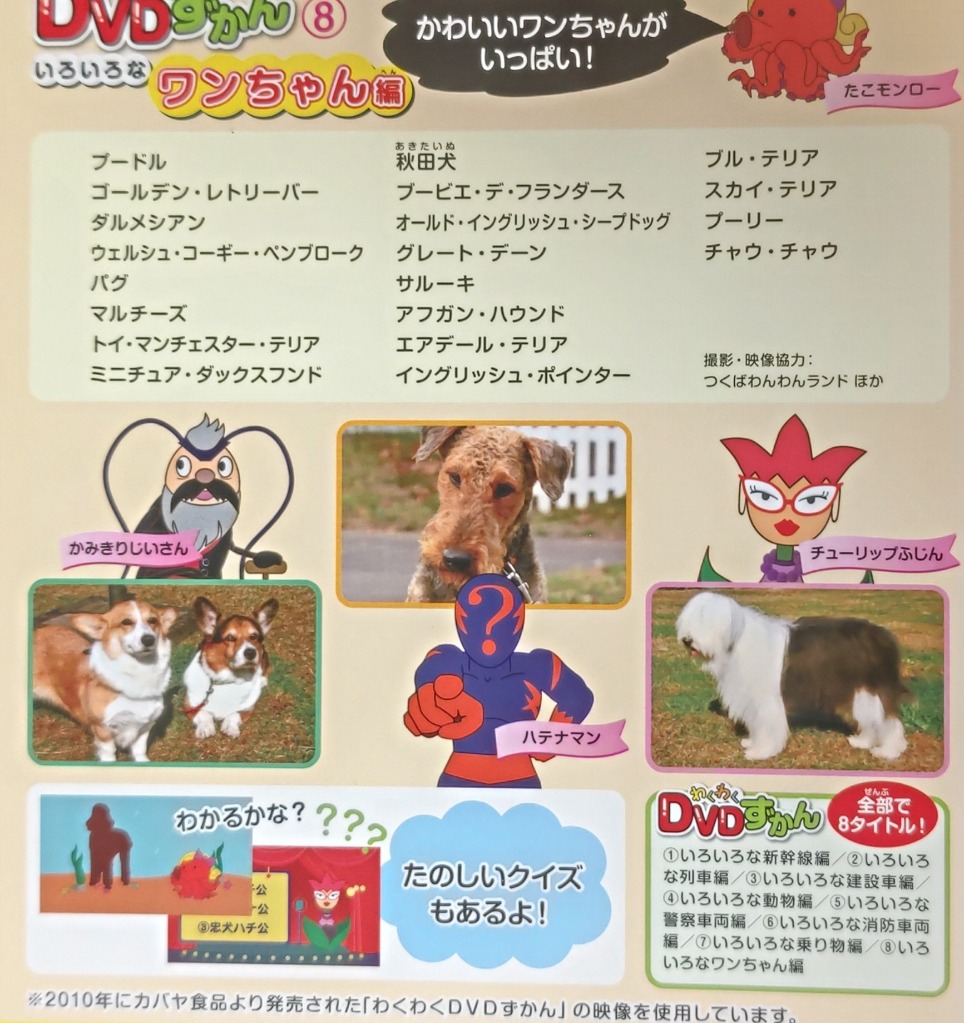 わくわく DVDずかん 8 いろいろなワンちゃん編 DVD - 最安値・価格比較