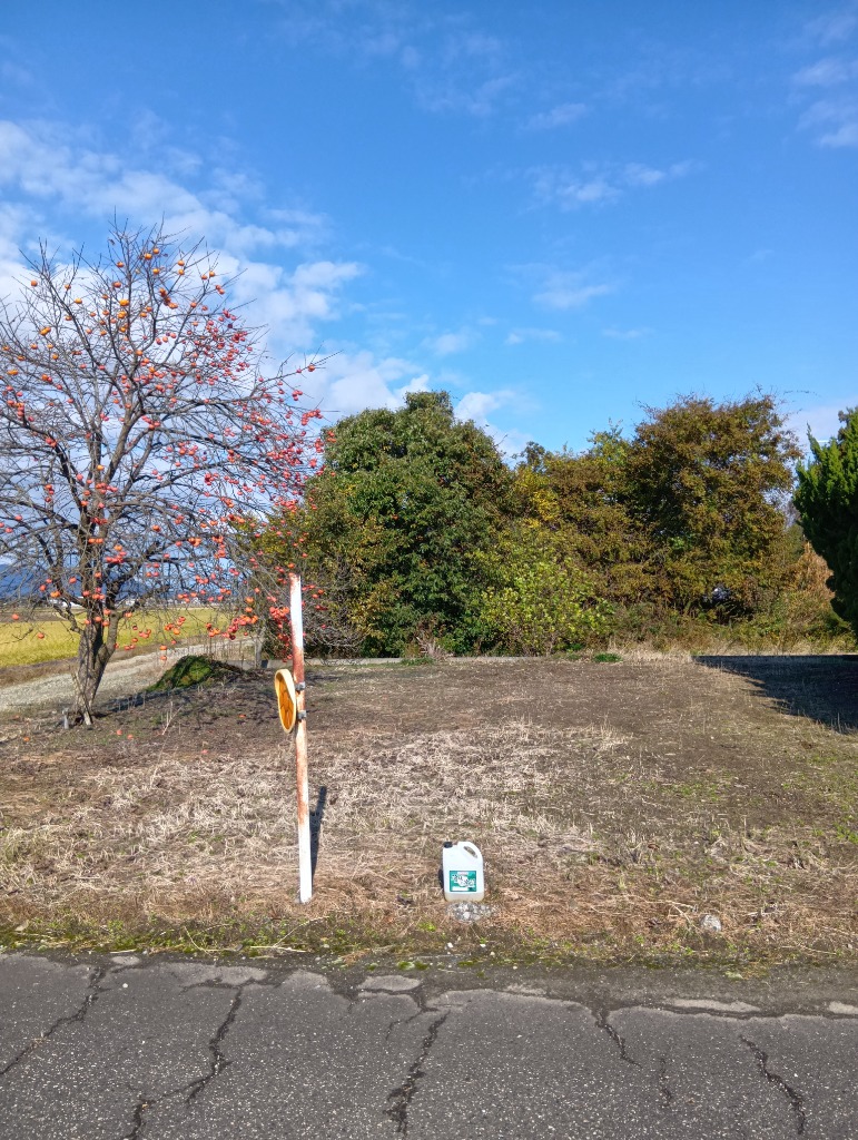 全体のレビュー画像 | 0-1