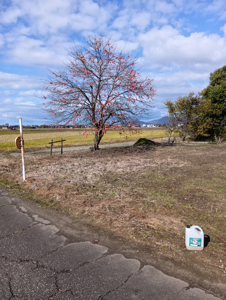 全体のレビュー画像 | 0-0