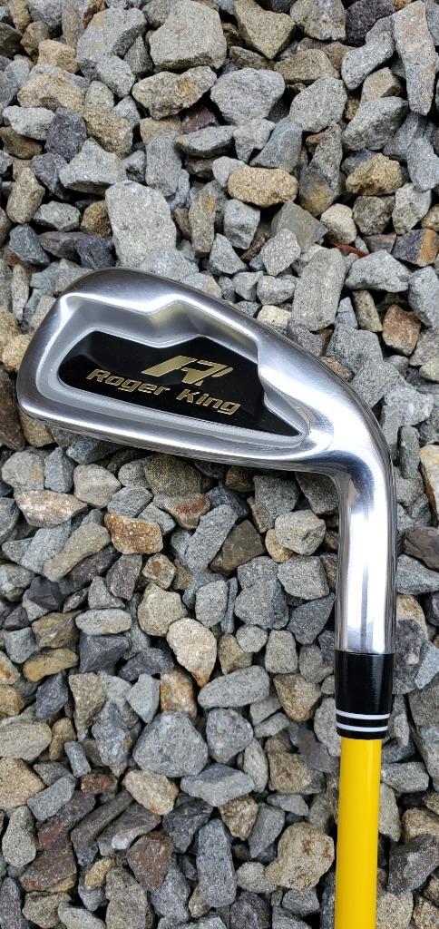 ゴルフ練習機具 ロジャーキング スイングドクター アイアン HIROTA GOLF Roger King Swing Doctor Iron（ ぐにゃぐにゃシャフト） :Iron-Ver:メガゴルフスポーツ - 通販 - Yahoo!ショッピング