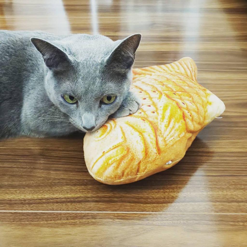 レビュー画像