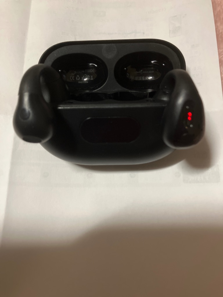 レビュー画像