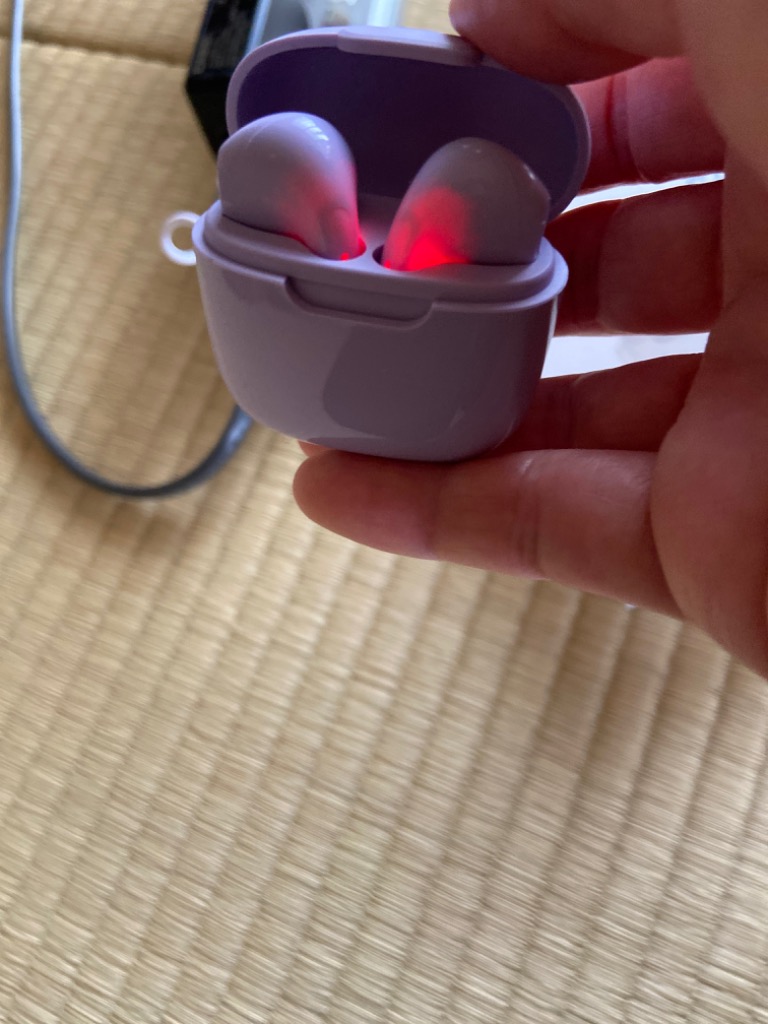 レビュー画像