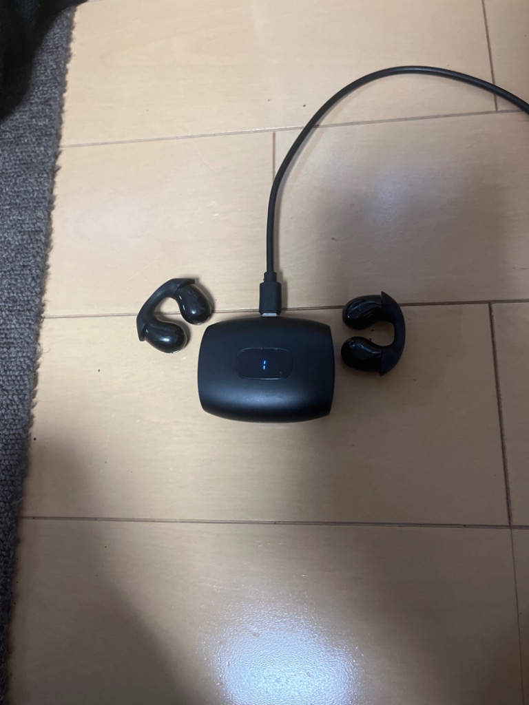 レビュー画像
