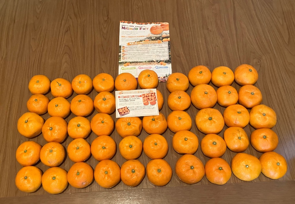 完熟みかん くす玉くん大玉 産地直送 訳あり 箱買い 家庭用