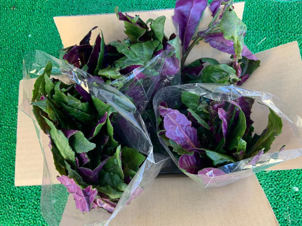 ハンダマ 3パック (600g) 【島野菜】葉表が緑、葉裏が紫のツートン 