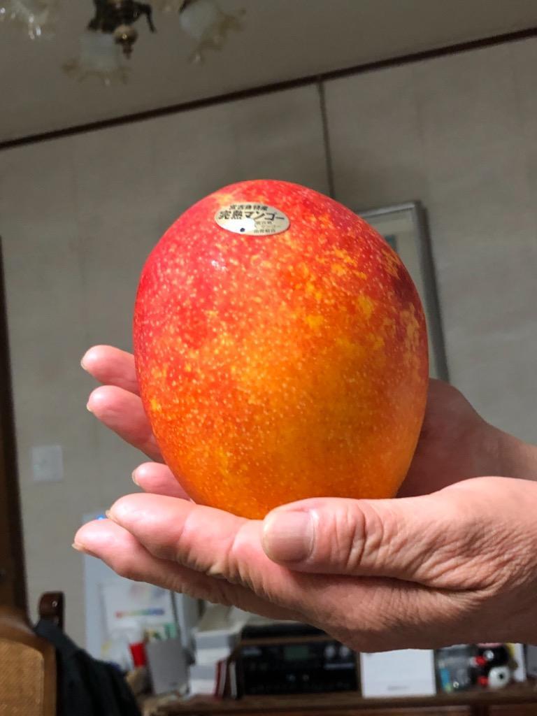優品 JAおきなわ選果 アップルマンゴー 約3kg（1.5kg前後×2箱