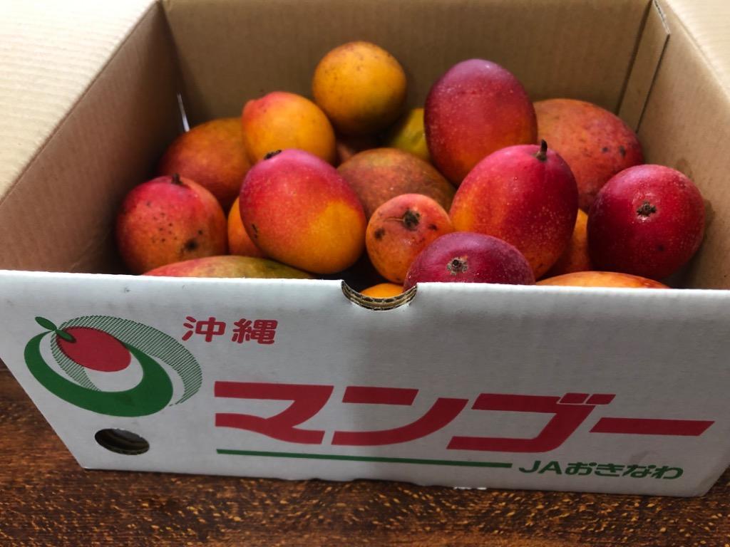 優品 ミニマンゴー 約2kg 化粧箱入り 発送6月下旬〜8月下旬