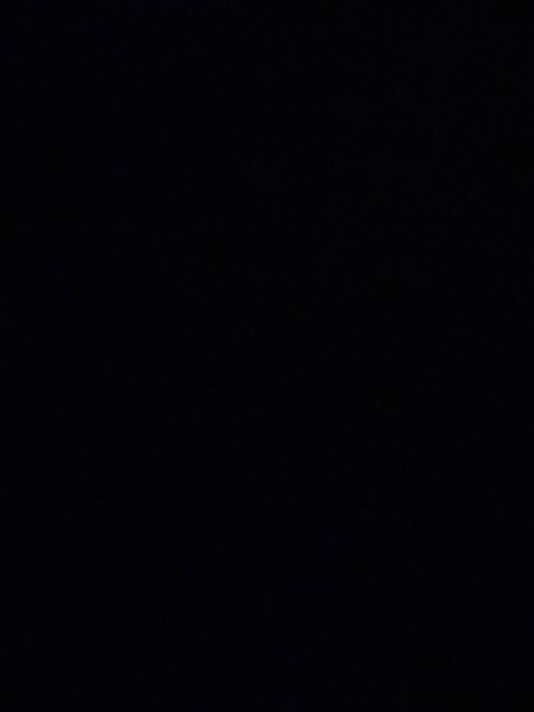 全体のレビュー画像 | 1-0
