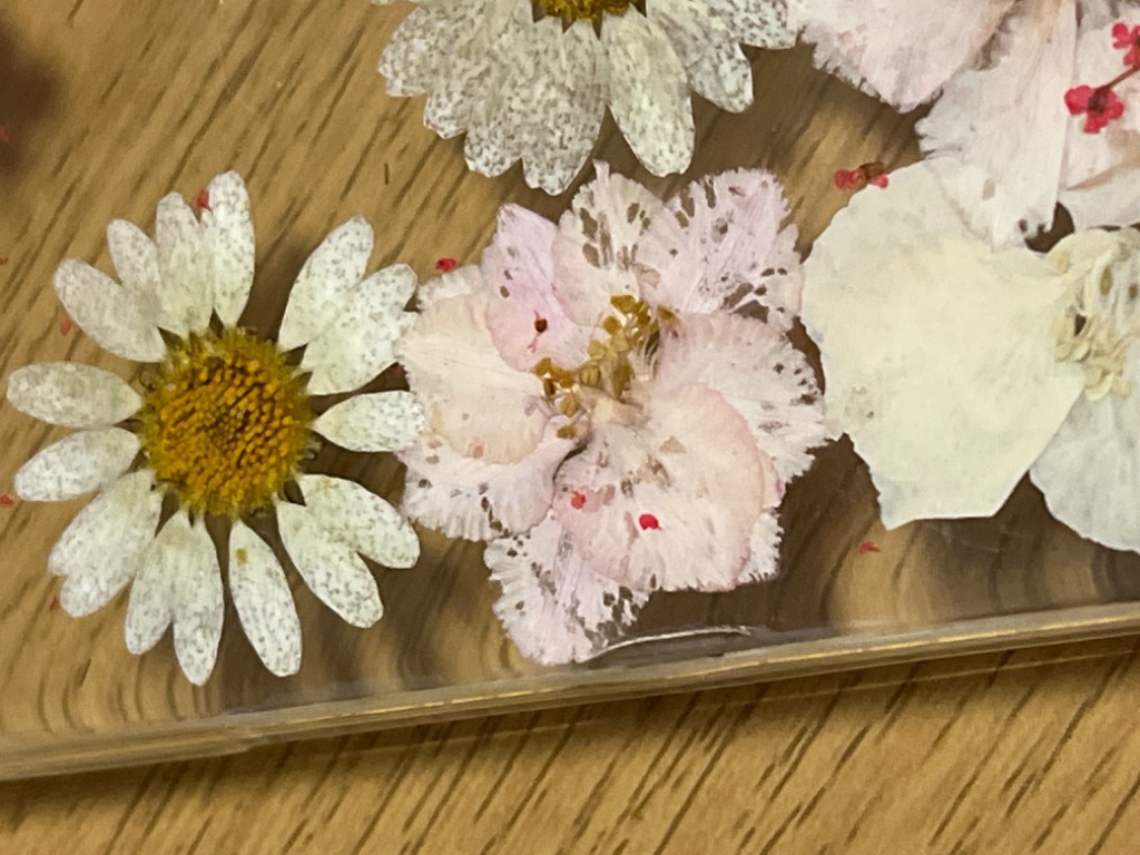 Lace Ladies クリアiPhoneケース 押し花 iPhone12 ケース iphone