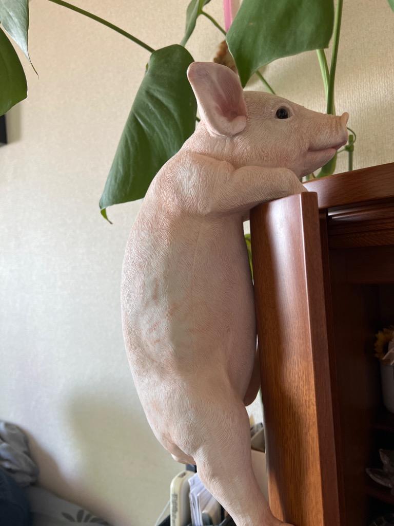 1件目のレビュー画像 | 2