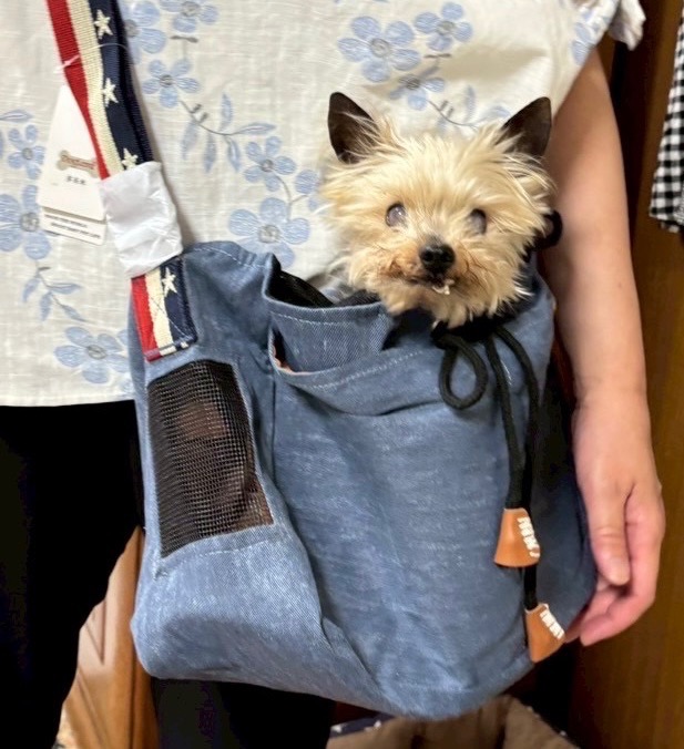 LAMOUR（ラムール） 犬用 デニム ショルダー バッグ 犬 肩掛け かばん