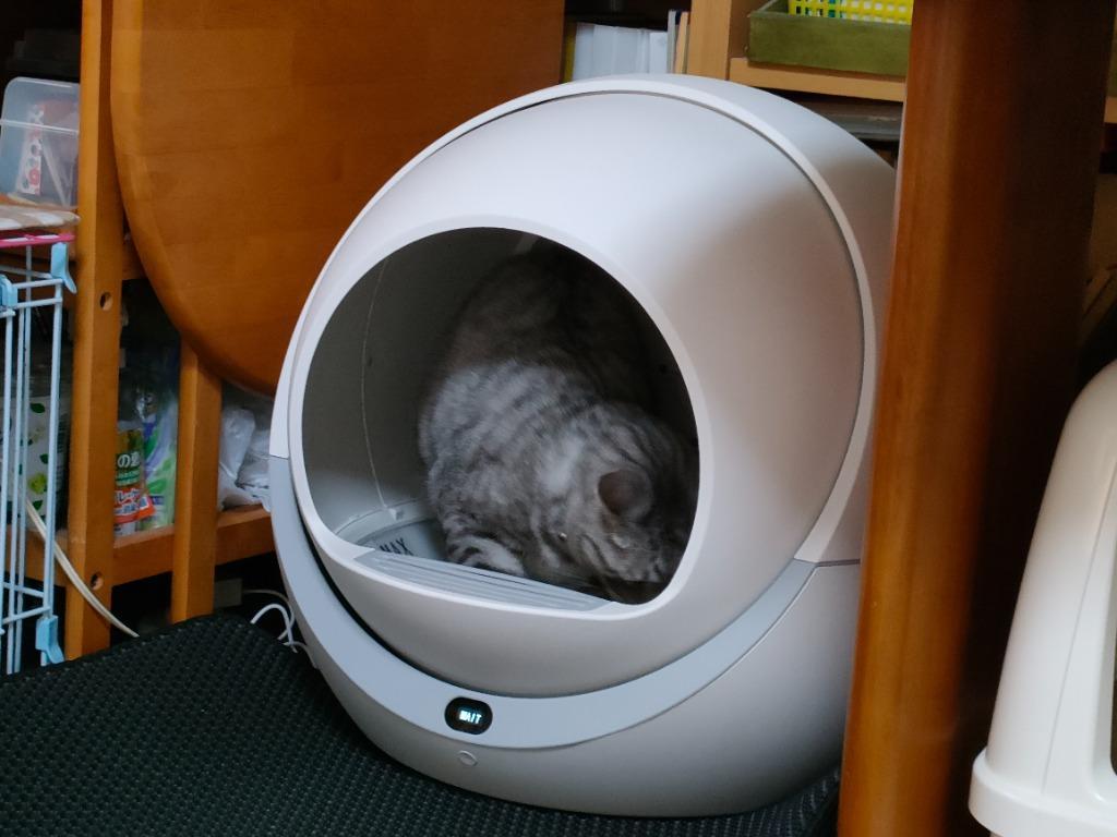 ペッツリー 猫 自動トイレ 猫用 トイレ 自動 全自動 大型 おしゃれ 