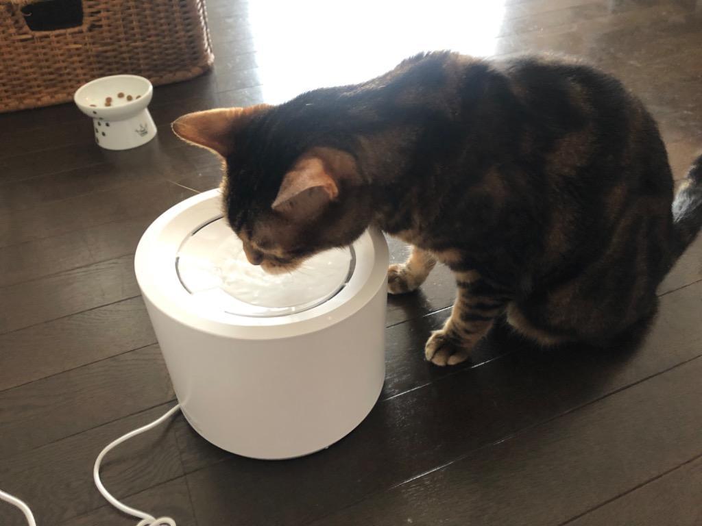 Petree ペッツリー 猫 犬 ペット 浄水 自動給水器 自動水やり器 自動水やり機 水飲み器 活性炭 イオン交換樹脂 交換用 フィルター カートリッジ 3個入り Petree Item 007 ワンちゃんの楽園 メルランド 通販 Yahoo ショッピング