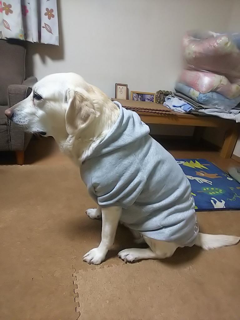 市場 犬服 おしゃれ DOG ペットウェア THE 中型犬 大型犬 あす楽対応 売れ筋 パーカー FACE