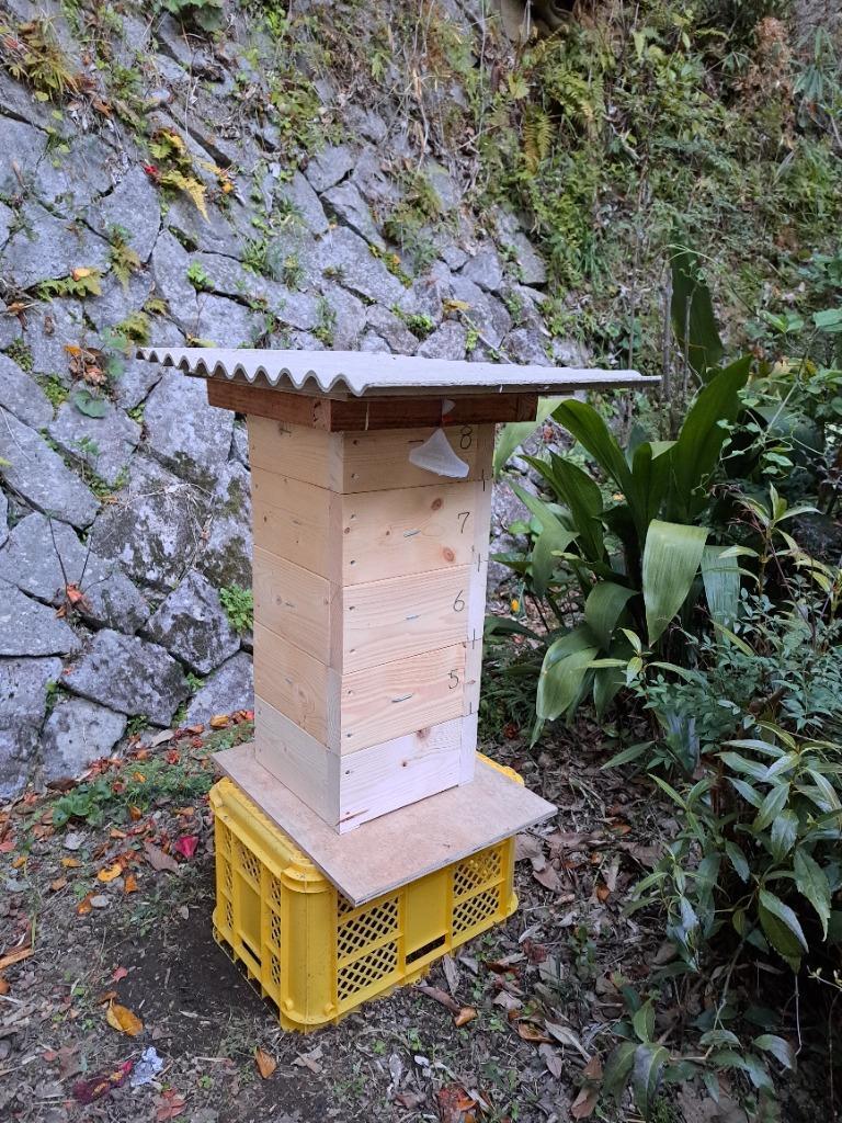 ミツバチ誘引ルアー ミツバチ誘引剤 養蜂を始める方に ニホンミツバチ