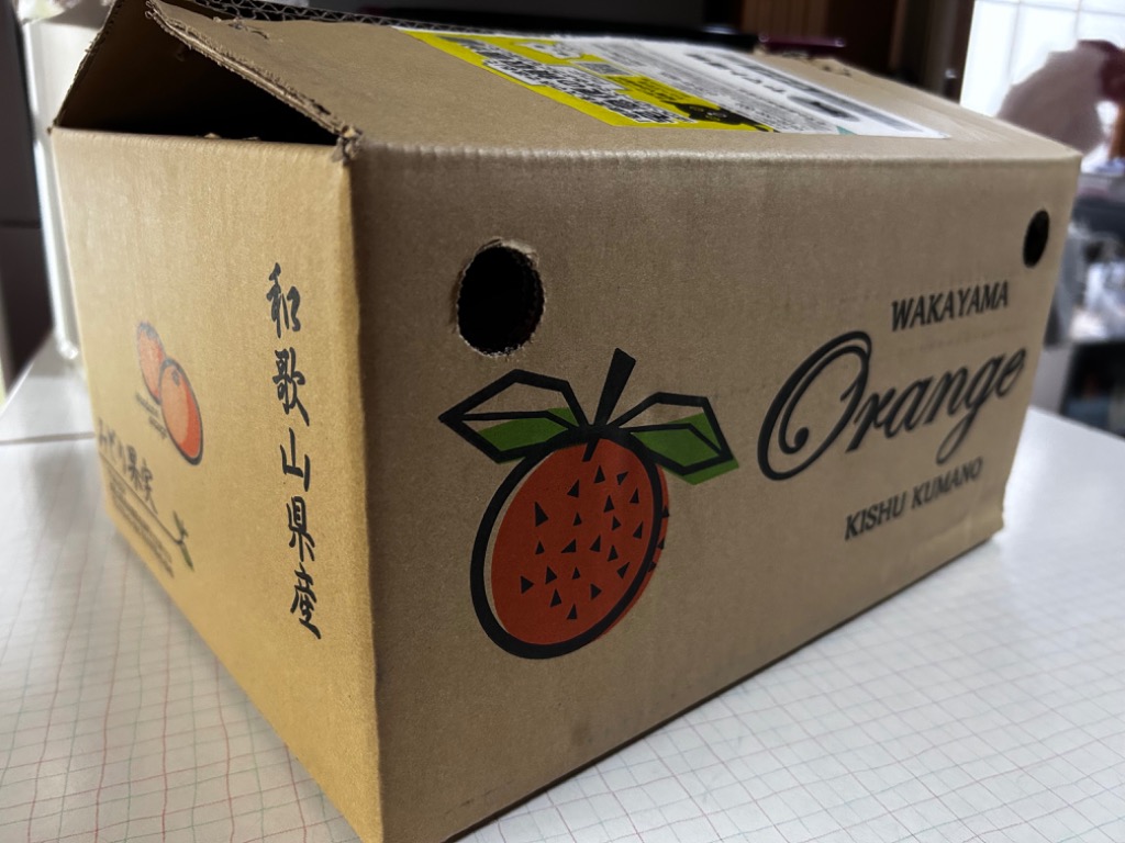 南高梅（完熟）秀品　３Ｌサイズ　箱込み３ｋｇ　梅干し用　滝清園26-2 南高梅 完熟梅 Lサイズ 3kg 梅干し 梅干し用 梅ジャム 梅