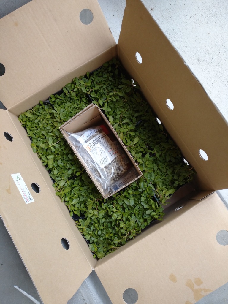 全体のレビュー画像 | 2-0