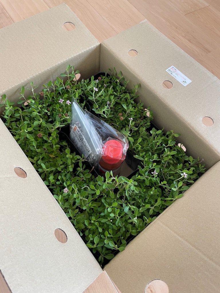 全体のレビュー画像 | 0-0