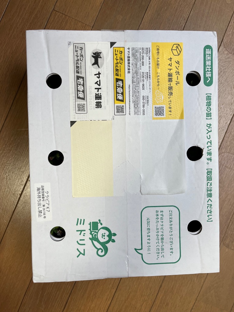 全体のレビュー画像 | 0-0