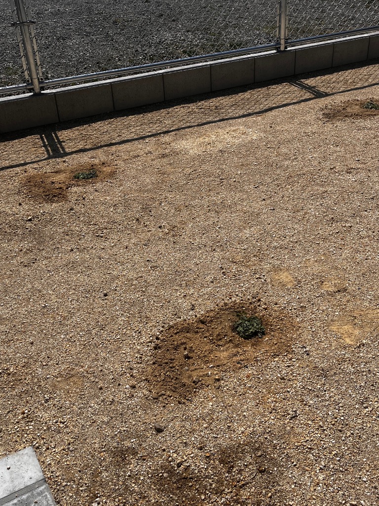 全体のレビュー画像 | 4-0