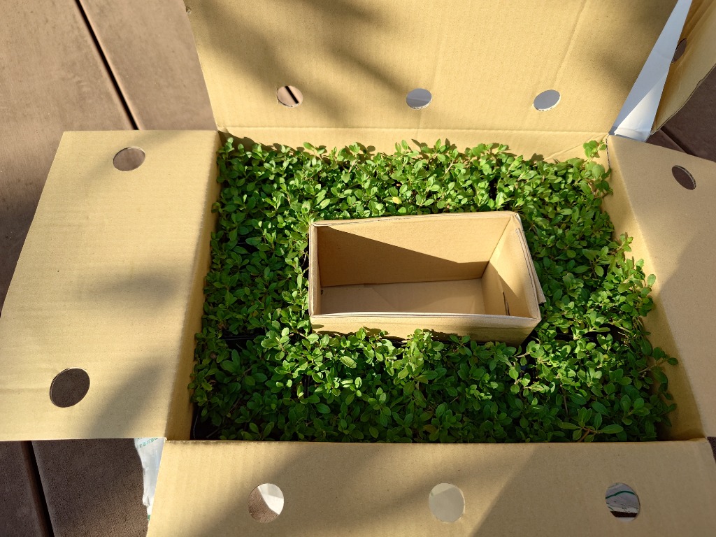 全体のレビュー画像 | 0-0