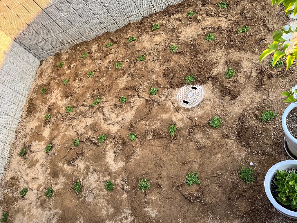 全体のレビュー画像 | 8-2