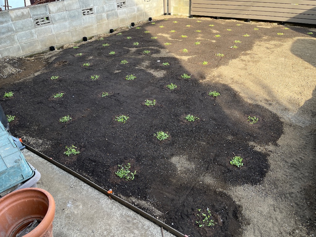 全体のレビュー画像 | 4-3