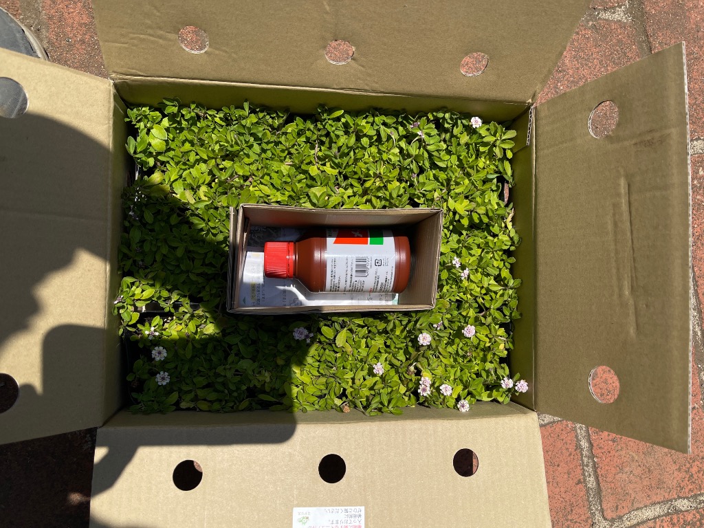 全体のレビュー画像 | 4-1