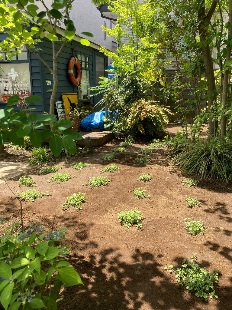 全体のレビュー画像 | 9-0