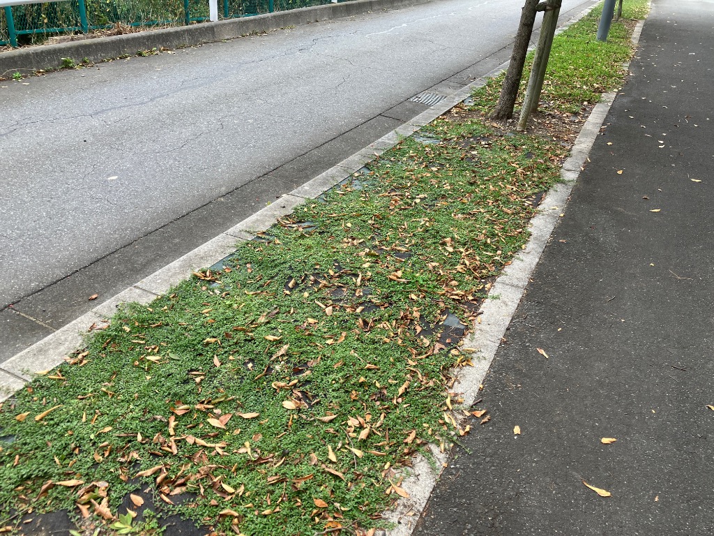 全体のレビュー画像 | 10-0