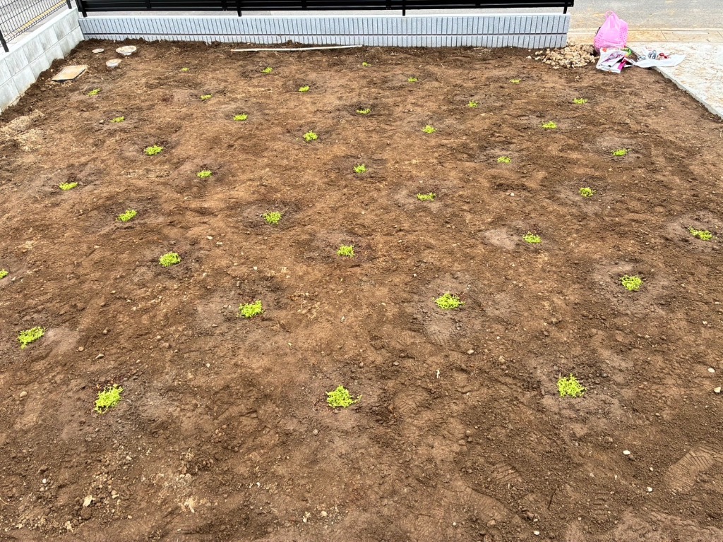 全体のレビュー画像 | 5-1