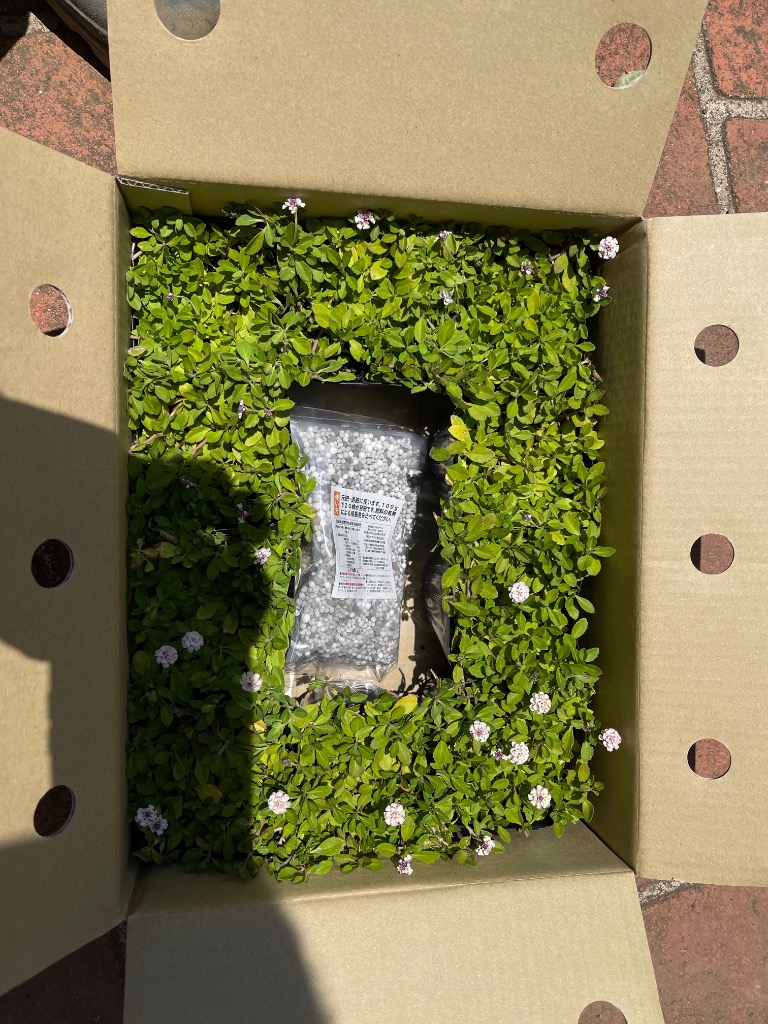 全体のレビュー画像 | 4-2