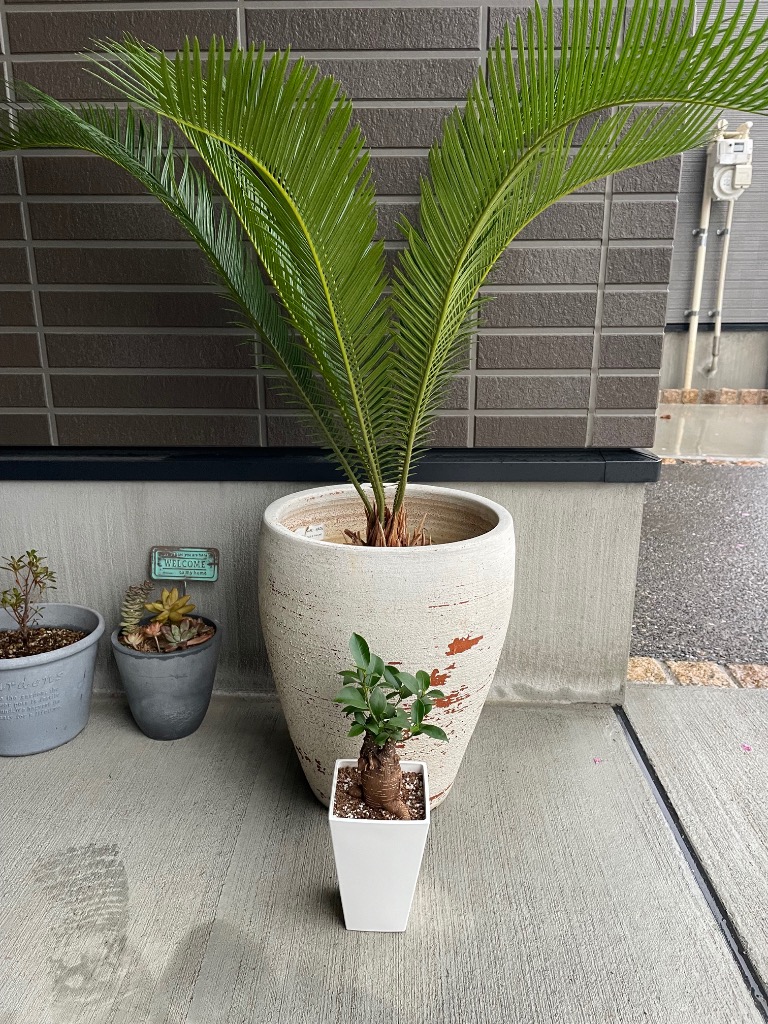 3件目のレビュー画像 | 2