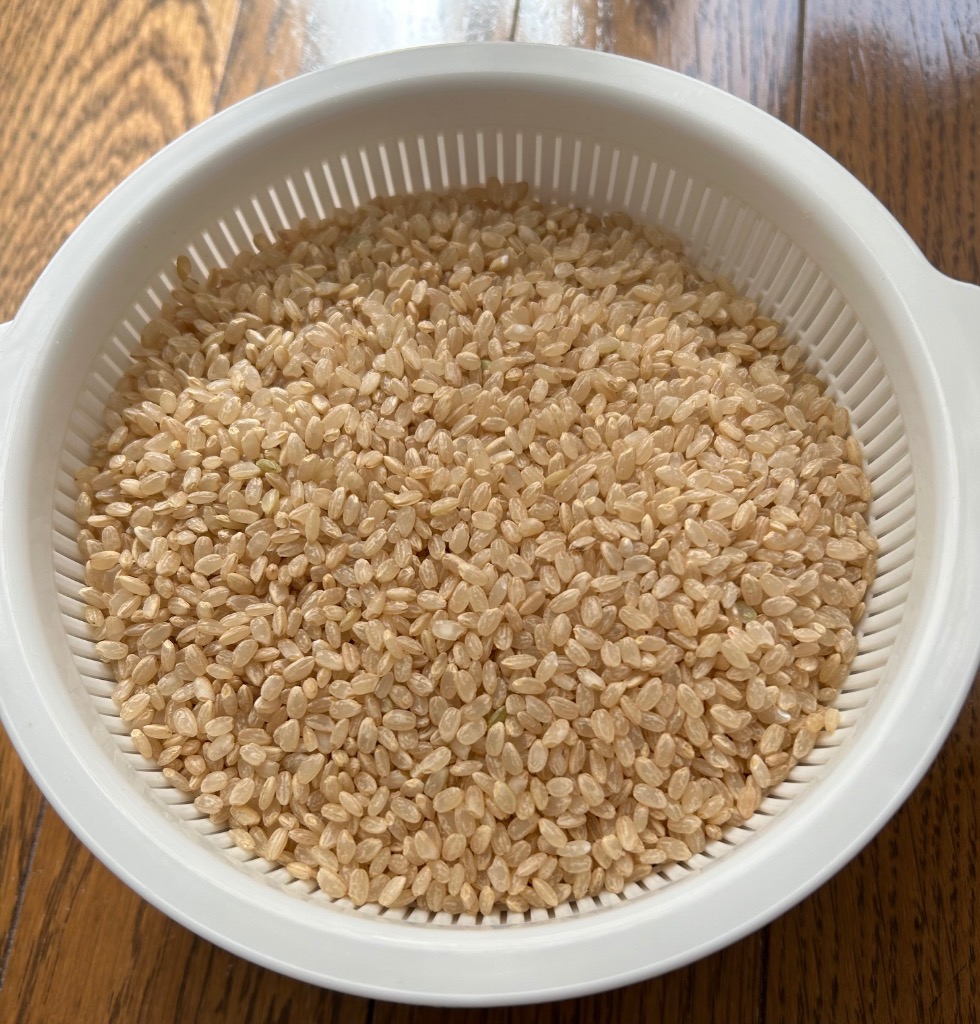 コシヒカリ 無農薬 米 玄米 5kg 特選 令和6年福井県産 送料無料 コシヒカリ 無農薬 米 玄米 5kg 特選 令和6年福井県産 送料無料
