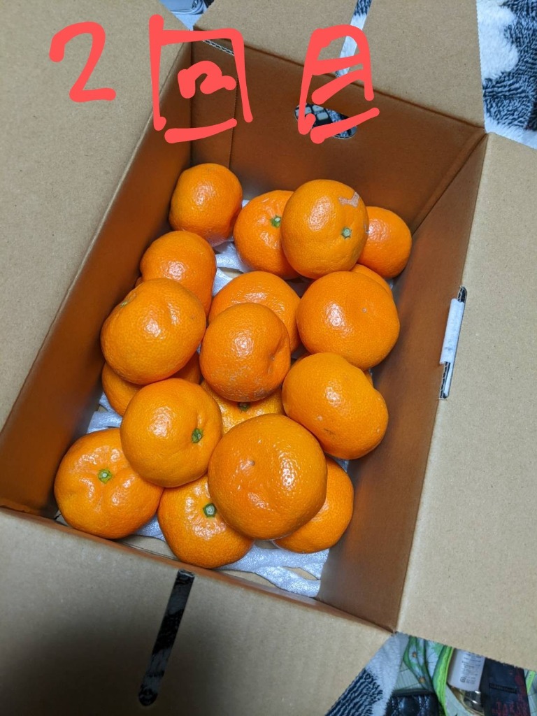 3件目のレビュー画像 | 2