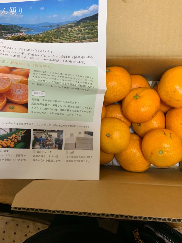 レビュー画像