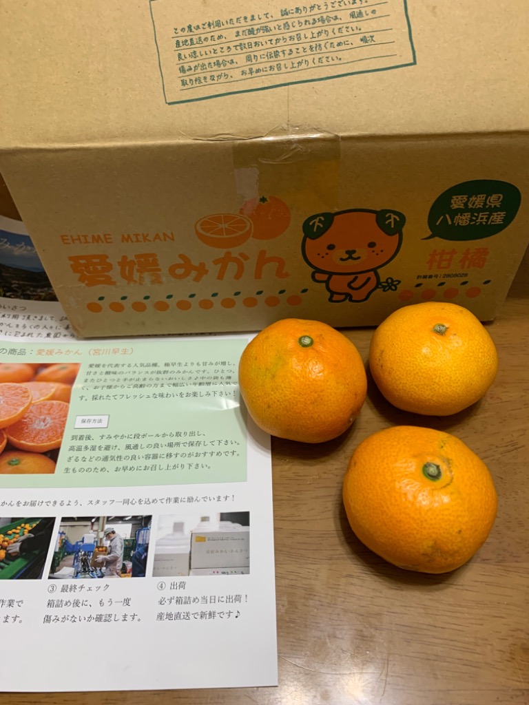 レビュー画像