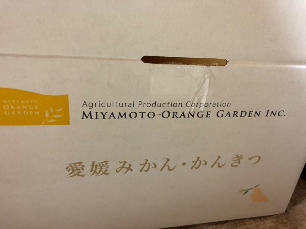 6件目のレビュー画像 | 1